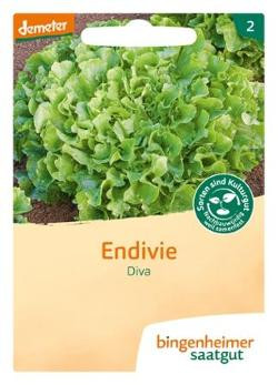 Produktfoto zu Endiviensalat Diva SAATGUT