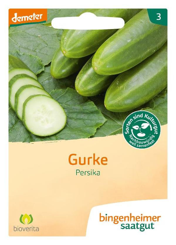 Produktfoto zu Gurke Persika SAATGUT