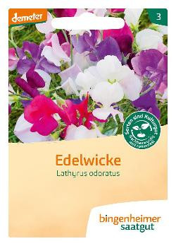 Produktfoto zu Edelwicke, SAATGUT