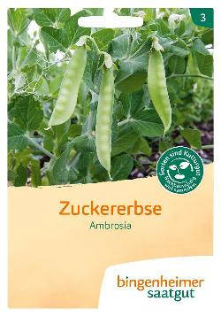 Produktfoto zu Zuckererbse Ambrosia,  SAATGUT