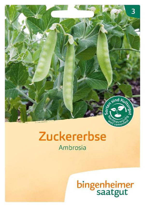 Produktfoto zu Zuckererbse Ambrosia,  SAATGUT