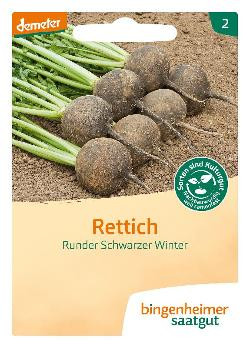 Produktfoto zu Rettich Scharzer Winter SAATGUT