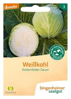 Produktfoto zu Weißkohl Dottenfelder SAATGUT