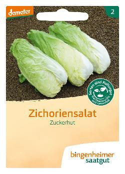 Produktfoto zu Zuckerhut SAATGUT