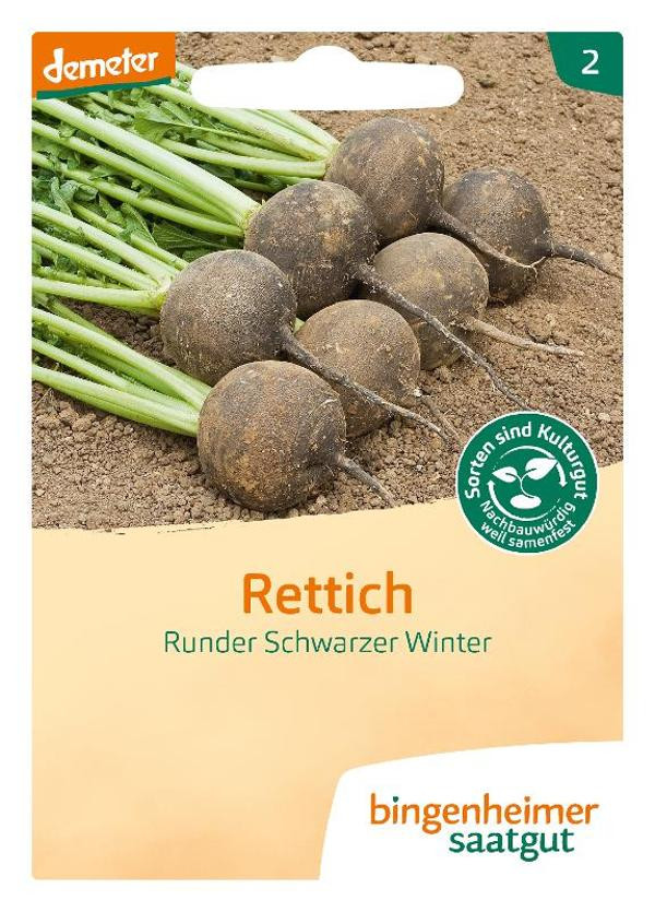 Produktfoto zu Rettich Scharzer Winter SAATGUT