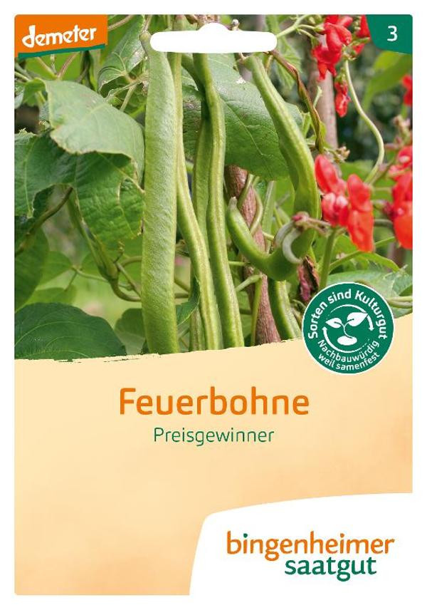 Produktfoto zu Feuerbohne Preisgewinner SAATGUT