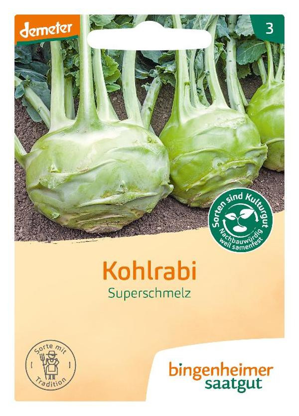 Produktfoto zu Kohlrabi Superschmelz SAATGUT