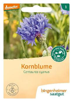 Produktfoto zu Kornblume SAATGUT