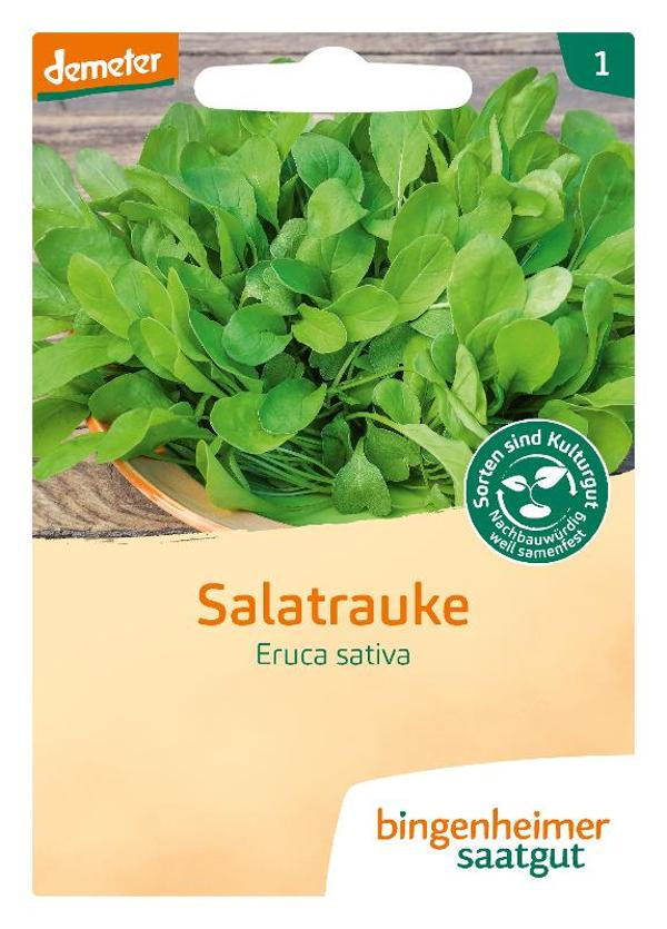 Produktfoto zu Salatrauke SAATGUT