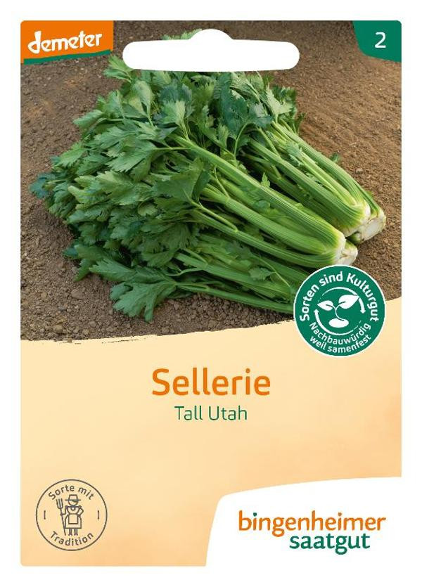 Produktfoto zu SG Stangensellerie Tall Utah