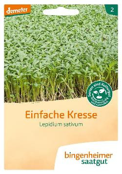 Produktfoto zu Kresse, Einfache SAATGUT