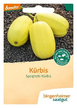 Produktfoto zu Spghetti-Kürbis  SAATGUT