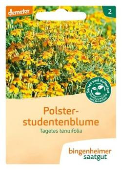 Produktfoto zu Tagetes (Polsterstudentenblume) SAATGUT