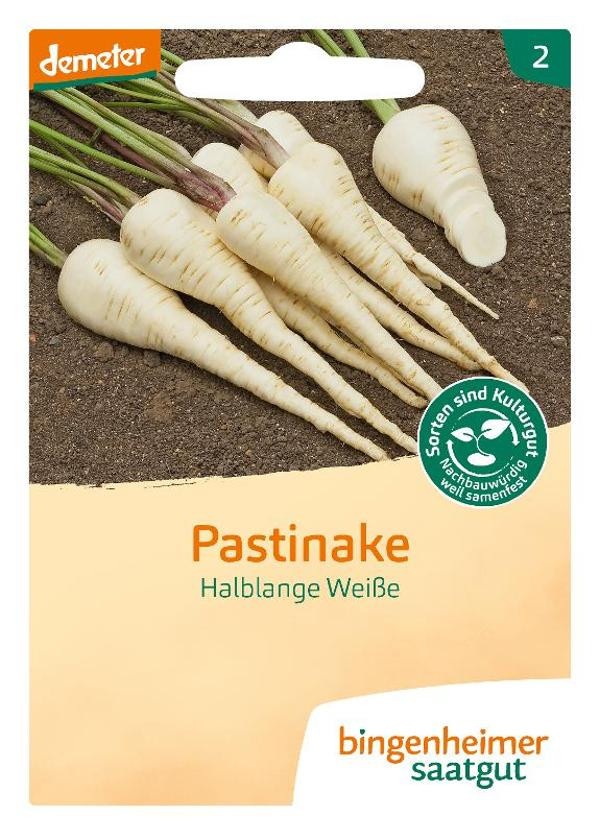 Produktfoto zu Pastinake halblang weiß SAATGUT