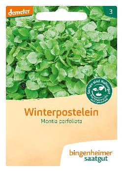 Produktfoto zu Winterpostelein SAATGUT