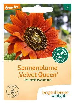 Produktfoto zu Sonnenblume "Velvet Queen" SAATGUT