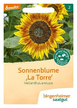 Produktfoto zu Sonnenblume "La Torre" SAATGUT