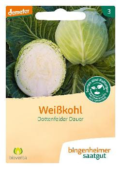 Produktfoto zu Weißkohl Dottenfelder SAATGUT