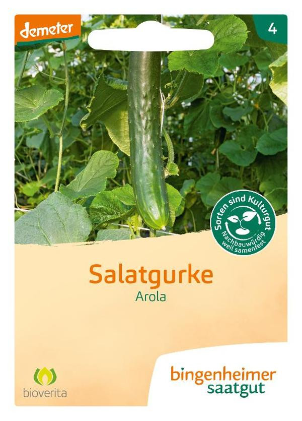 Produktfoto zu SG Salatgurke Arola