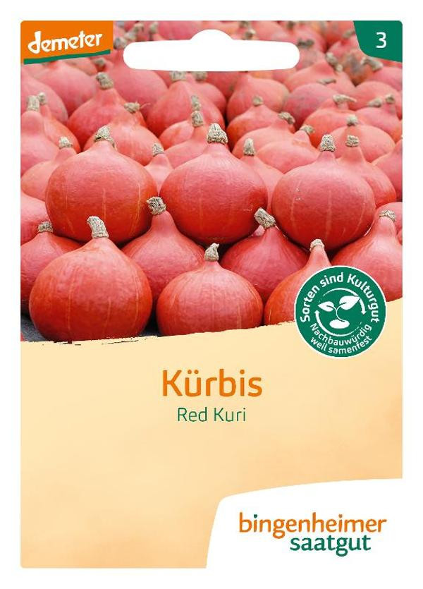 Produktfoto zu Hokkaido-Kürbis Red Kuri SAATGUT