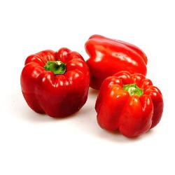 Produktfoto zu Paprika rot